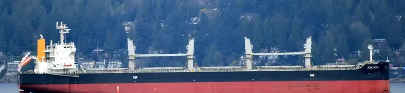SHENG YANG Bulk Carrier IMO 9650133 photo 2