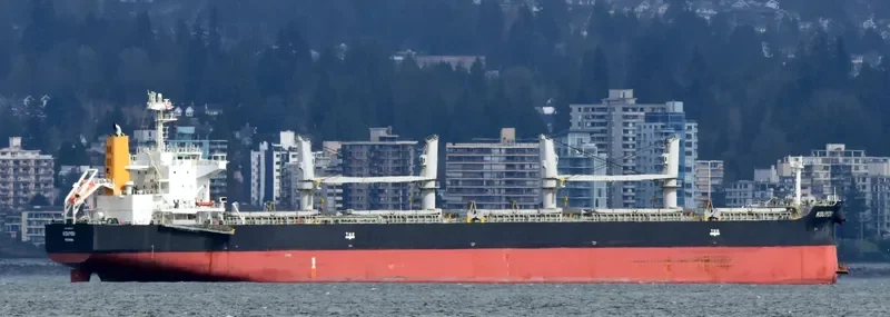 SHENG YANG Bulk Carrier IMO 9650133 photo 3