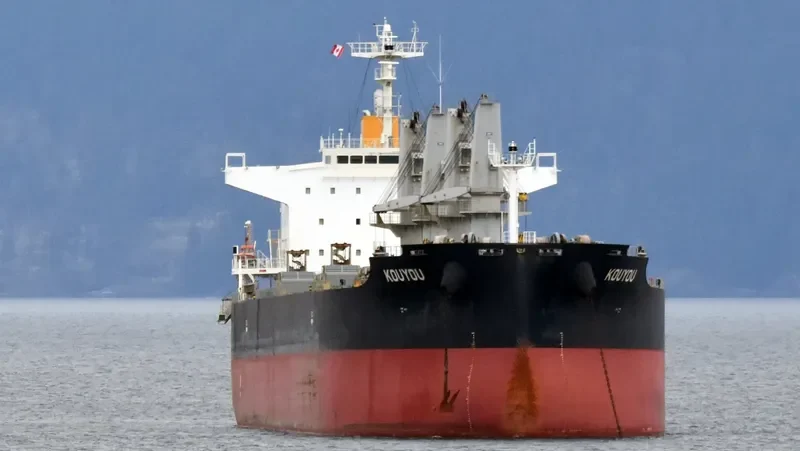 SHENG YANG Bulk Carrier IMO 9650133 photo 4