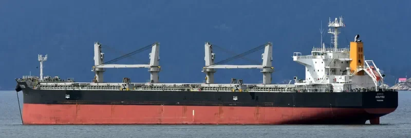 SHENG YANG Bulk Carrier IMO 9650133 photo 5