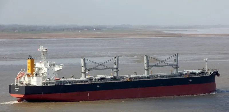 SHENG YANG Bulk Carrier IMO 9650133 photo 6