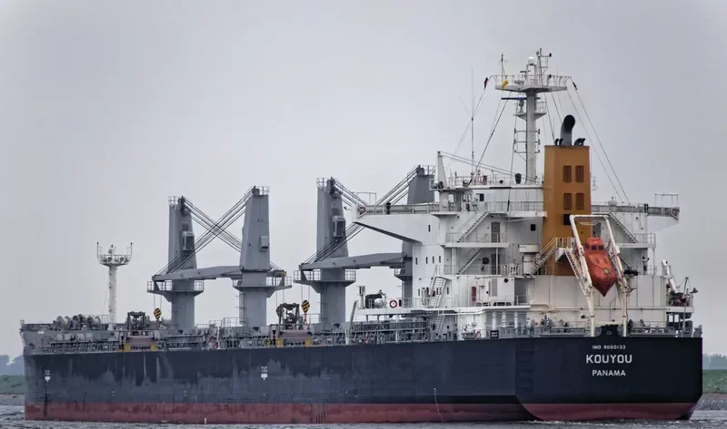 SHENG YANG Bulk Carrier IMO 9650133 photo 8