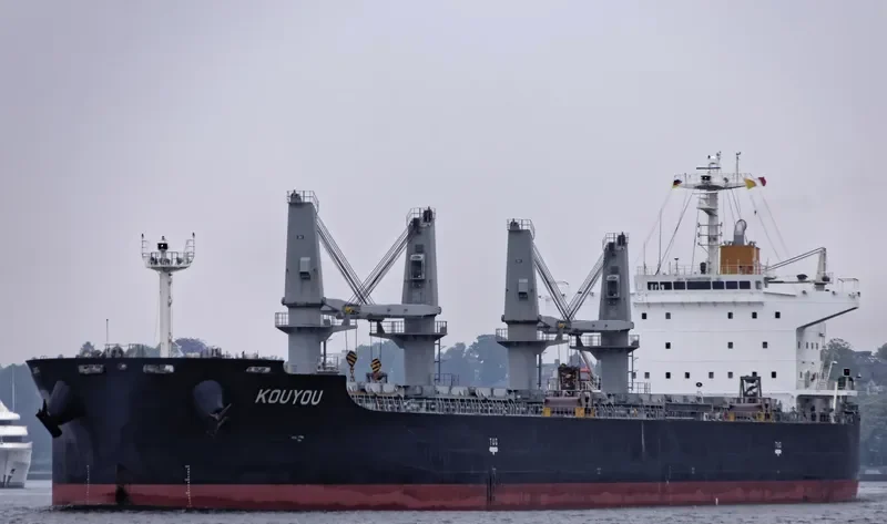 SHENG YANG Bulk Carrier IMO 9650133 photo 9