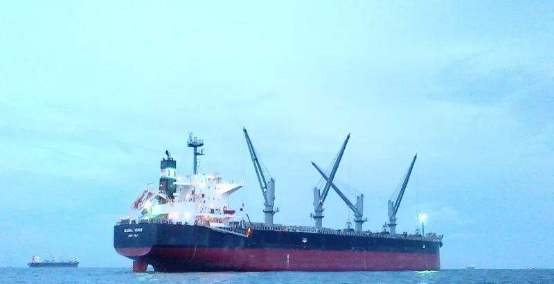 GLOBAL VENUS Bulk Carrier IMO 9650145 photo 3