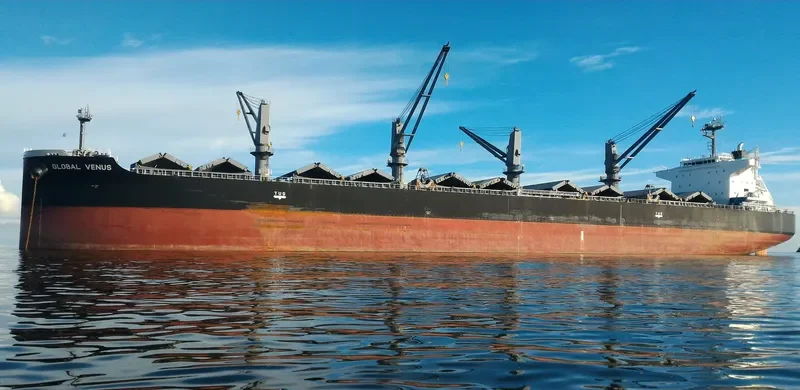 GLOBAL VENUS Bulk Carrier IMO 9650145 photo 5