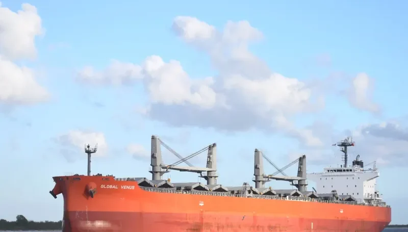 GLOBAL VENUS Bulk Carrier IMO 9650145 photo 6