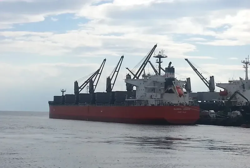 GLOBAL VENUS Bulk Carrier IMO 9650145 photo 7