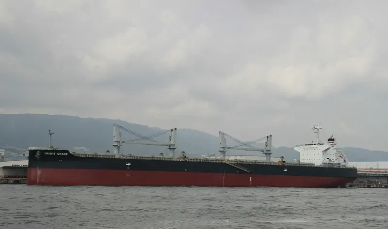 GRACE Bulk Carrier IMO 9650157