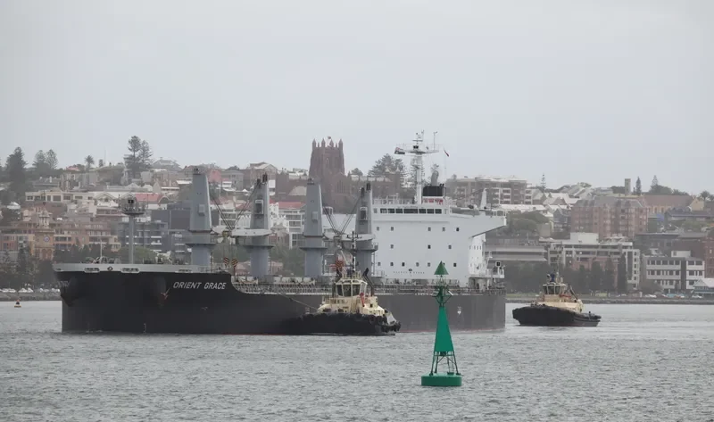 GRACE Bulk Carrier IMO 9650157 photo 3