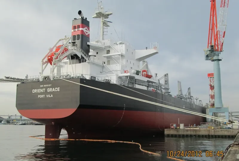 GRACE Bulk Carrier IMO 9650157 photo 4