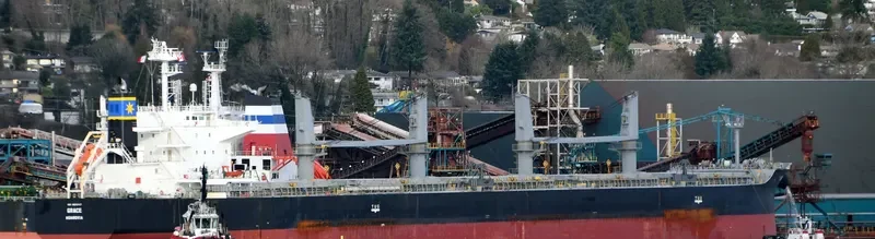 GRACE Bulk Carrier IMO 9650157 photo 5
