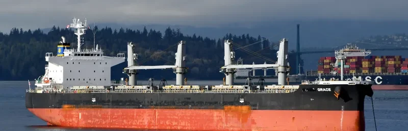 GRACE Bulk Carrier IMO 9650157 photo 6