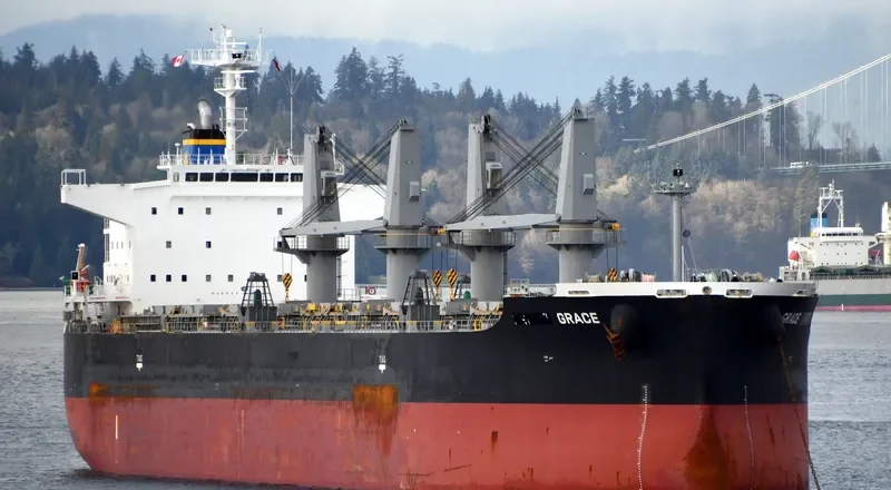 GRACE Bulk Carrier IMO 9650157 photo 7