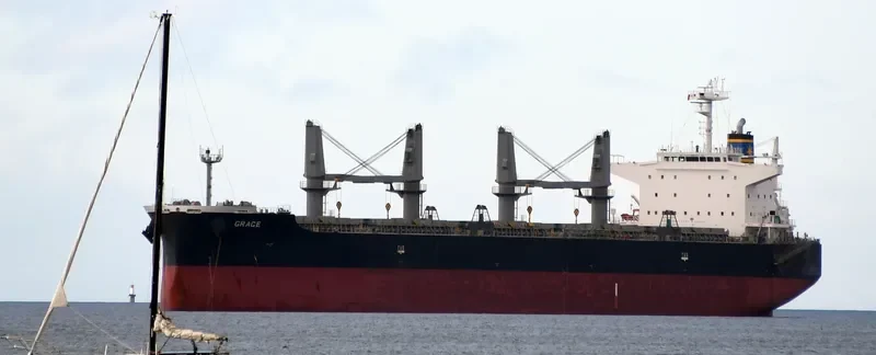 GRACE Bulk Carrier IMO 9650157 photo 8
