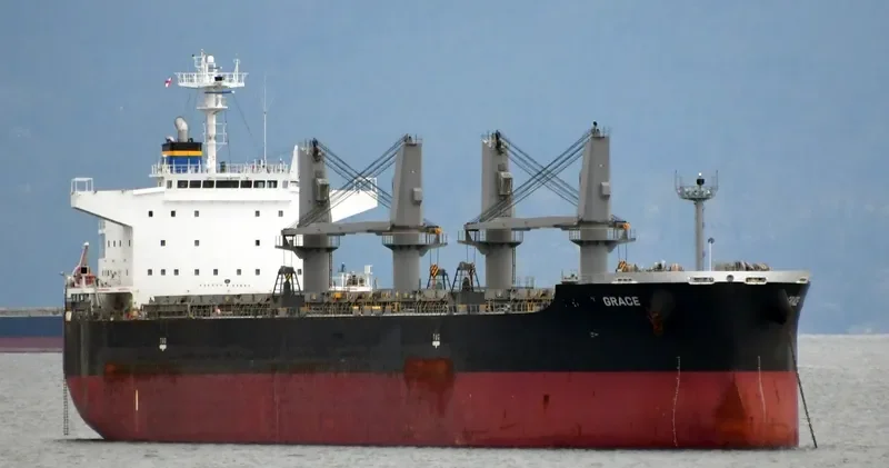 GRACE Bulk Carrier IMO 9650157 photo 9
