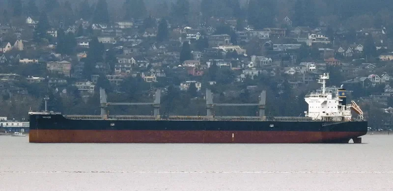 GRACE Bulk Carrier IMO 9650157 photo 10