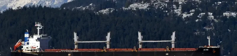 ALTUS Bulk Carrier IMO 9650169 photo 10