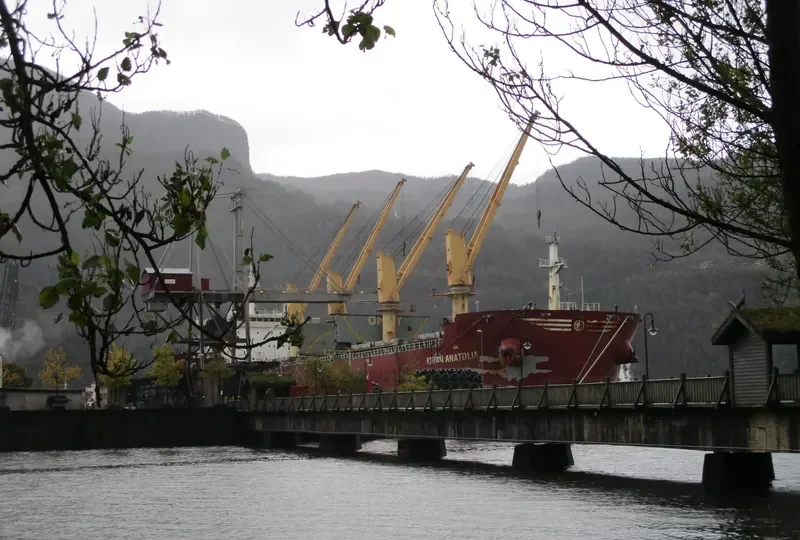 KIRAN ANATOLIA Bulk Carrier IMO 9650171 photo 2