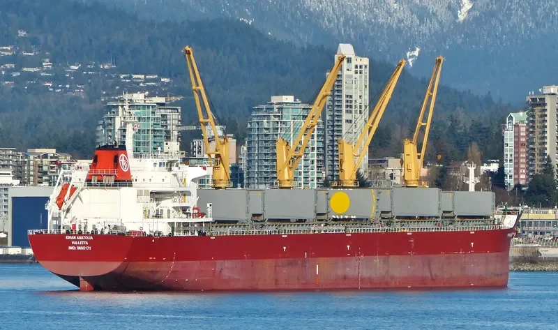 KIRAN ANATOLIA Bulk Carrier IMO 9650171 photo 4