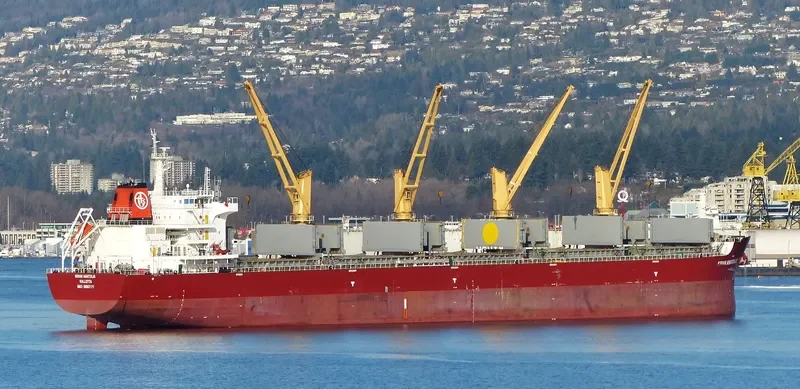 KIRAN ANATOLIA Bulk Carrier IMO 9650171 photo 5