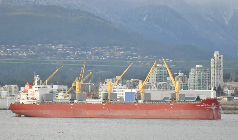 KIRAN ANATOLIA Bulk Carrier IMO 9650171 photo 6