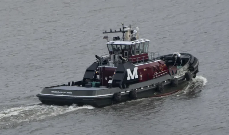 ANNABELLE DOROTHY MO General Cargo IMO 9650406 photo 6