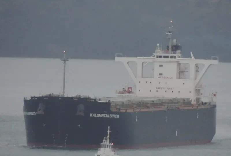 KALIMANTAN EXPRESS Bulk Carrier IMO 9650432 photo 5