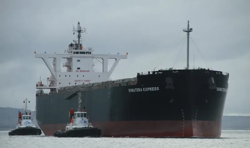 SUMATERA EXPRESS Bulk Carrier IMO 9650444 photo 8