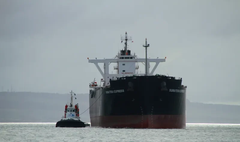 SUMATERA EXPRESS Bulk Carrier IMO 9650444 photo 9