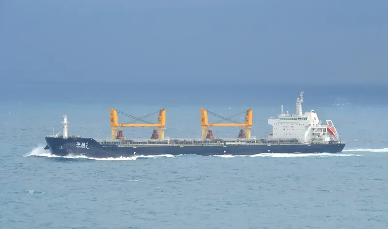 HUA RONG 2 Bulk Carrier IMO 9650468