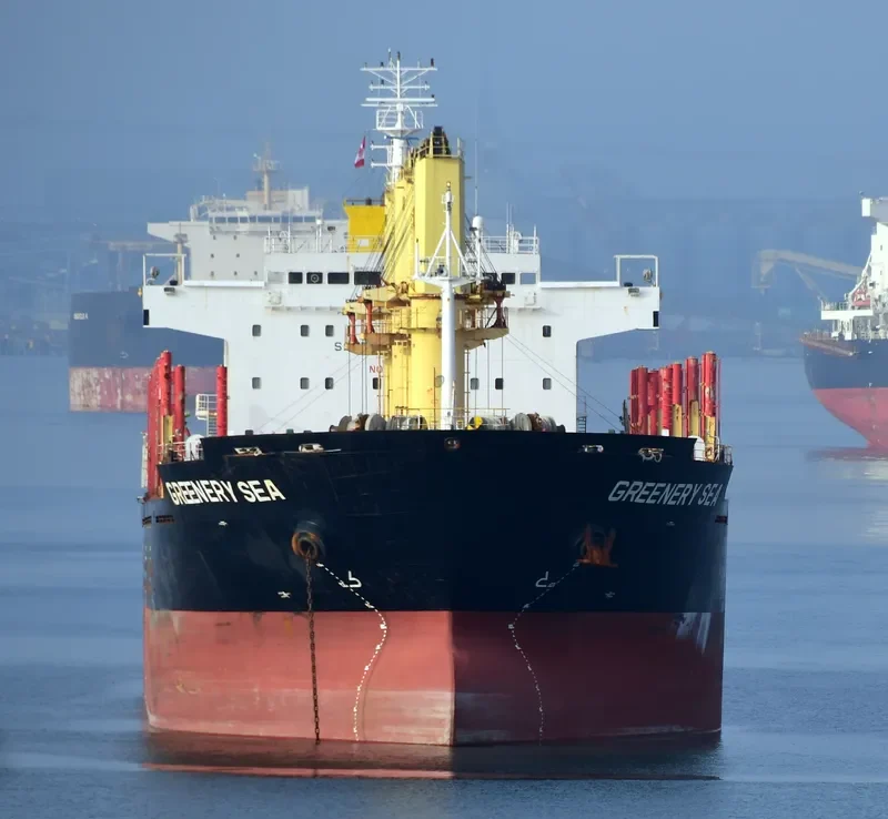 GREENERY SEA Bulk Carrier IMO 9650494