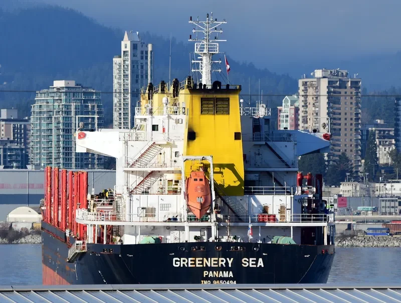 GREENERY SEA Bulk Carrier IMO 9650494 photo 2