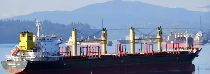 GREENERY SEA Bulk Carrier IMO 9650494 photo 3