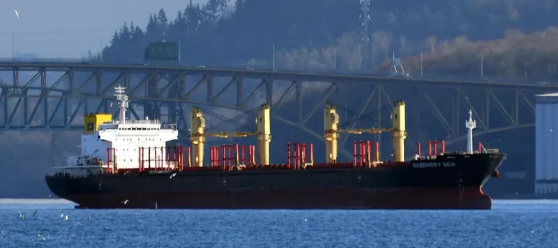 GREENERY SEA Bulk Carrier IMO 9650494 photo 4