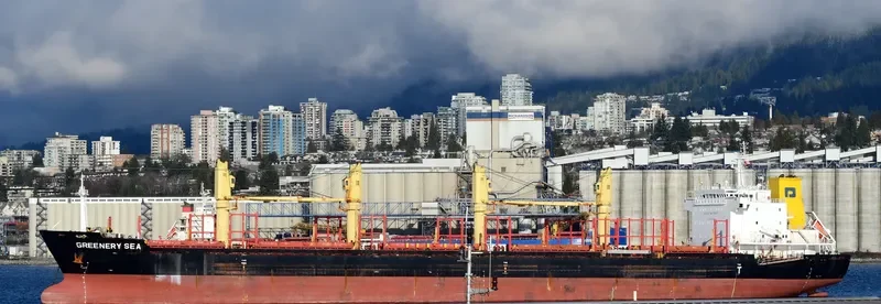 GREENERY SEA Bulk Carrier IMO 9650494 photo 5