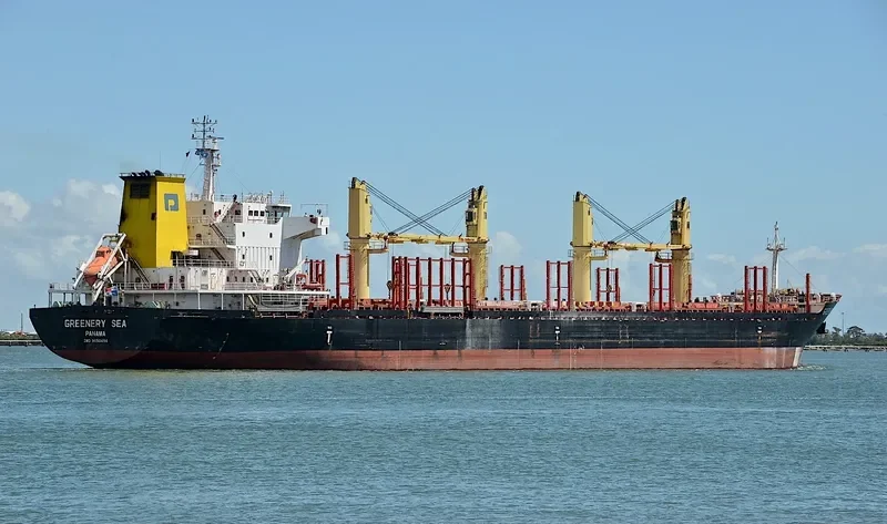 GREENERY SEA Bulk Carrier IMO 9650494 photo 6