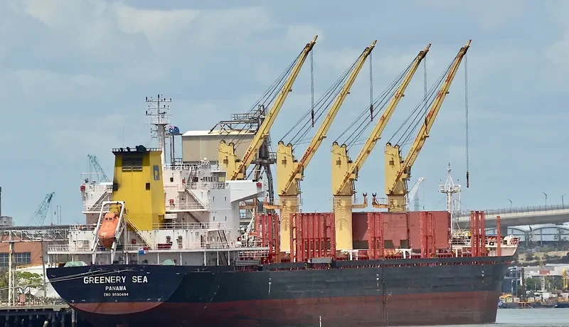 GREENERY SEA Bulk Carrier IMO 9650494 photo 7