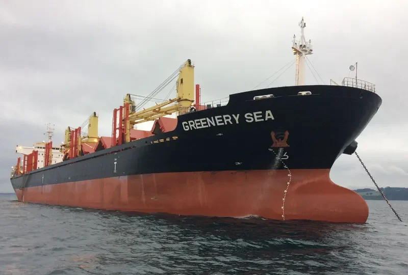 GREENERY SEA Bulk Carrier IMO 9650494 photo 8