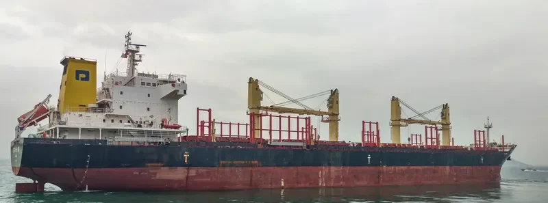 GREENERY SEA Bulk Carrier IMO 9650494 photo 9