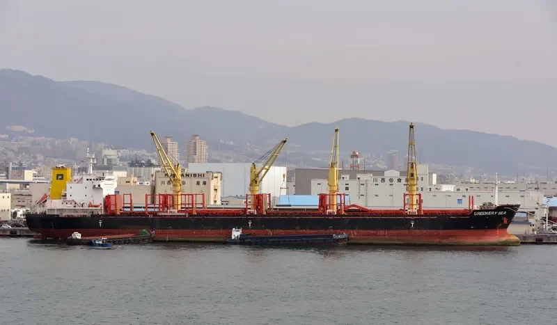 GREENERY SEA Bulk Carrier IMO 9650494 photo 10