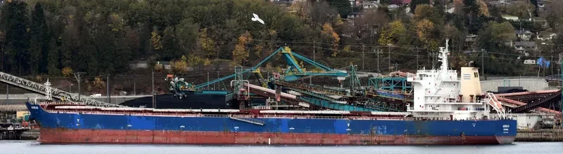 AENEAS Bulk Carrier IMO 9650626