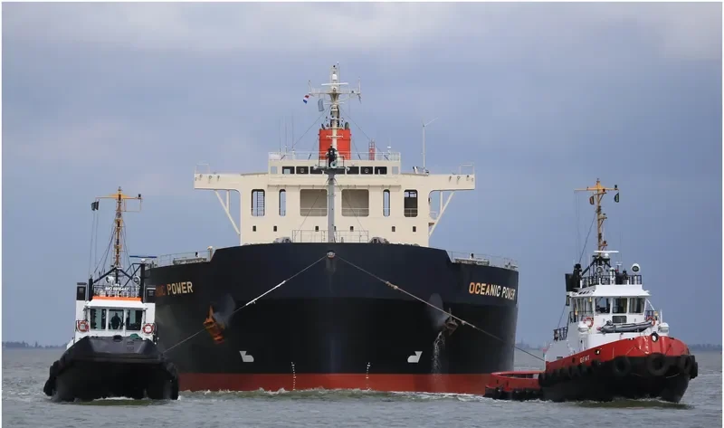 OCEANIC POWER Bulk Carrier IMO 9650755