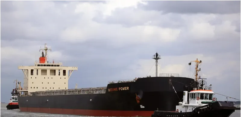 OCEANIC POWER Bulk Carrier IMO 9650755 photo 2