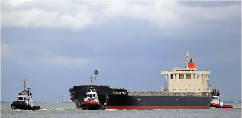 OCEANIC POWER Bulk Carrier IMO 9650755 photo 3