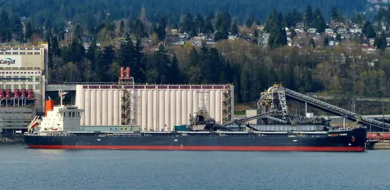 OCEANIC POWER Bulk Carrier IMO 9650755 photo 6