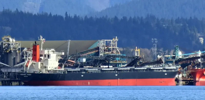 OCEANIC POWER Bulk Carrier IMO 9650755 photo 7