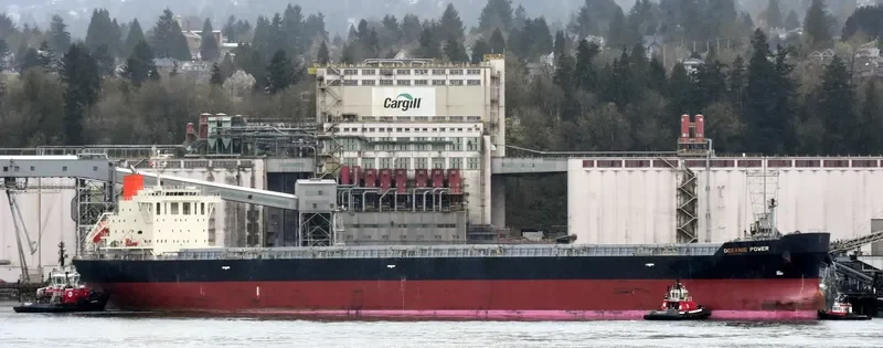 OCEANIC POWER Bulk Carrier IMO 9650755 photo 8