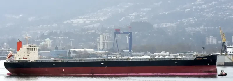 OCEANIC POWER Bulk Carrier IMO 9650755 photo 9