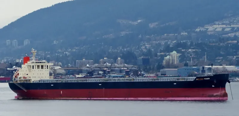 OCEANIC POWER Bulk Carrier IMO 9650755 photo 10