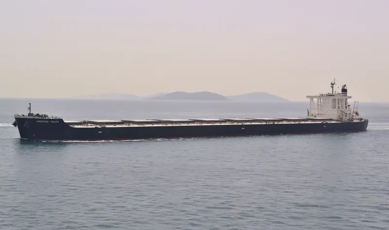 FRONTIER YOUTH Bulk Carrier IMO 9650779 photo 10